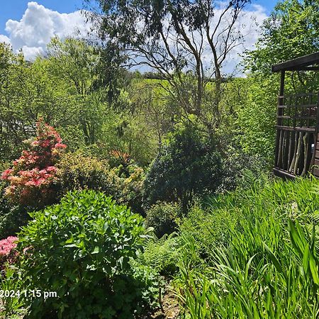 Treetops Lodge, Private Parking & Garden ทรูโร ภายนอก รูปภาพ