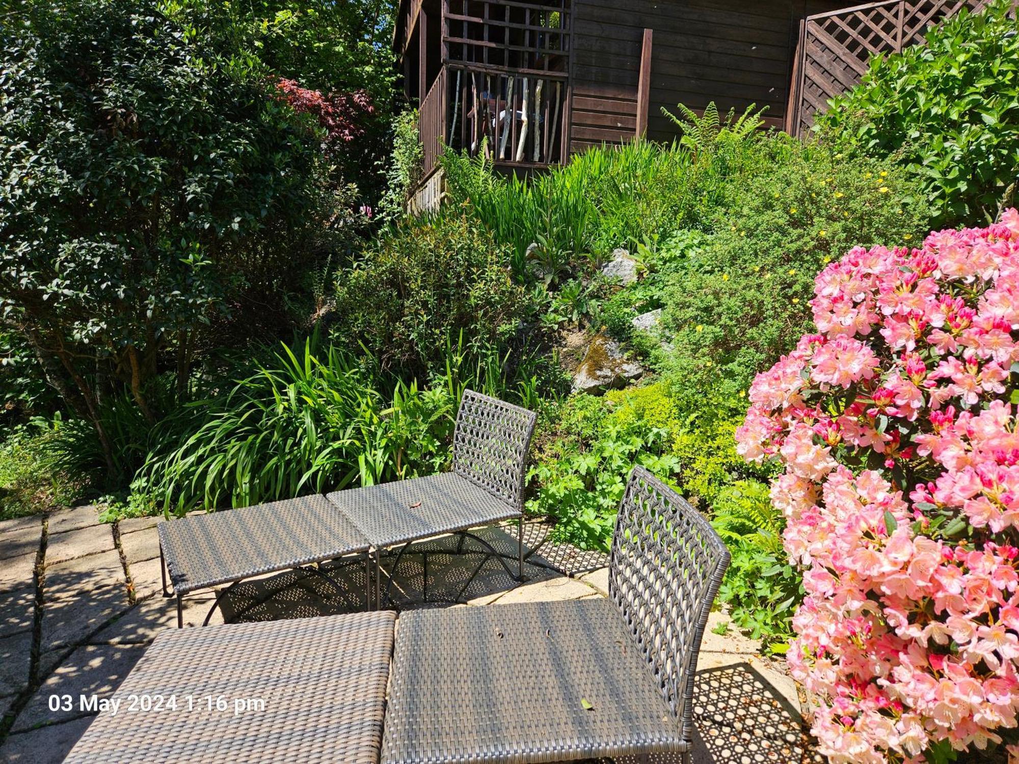 Treetops Lodge, Private Parking & Garden ทรูโร ภายนอก รูปภาพ