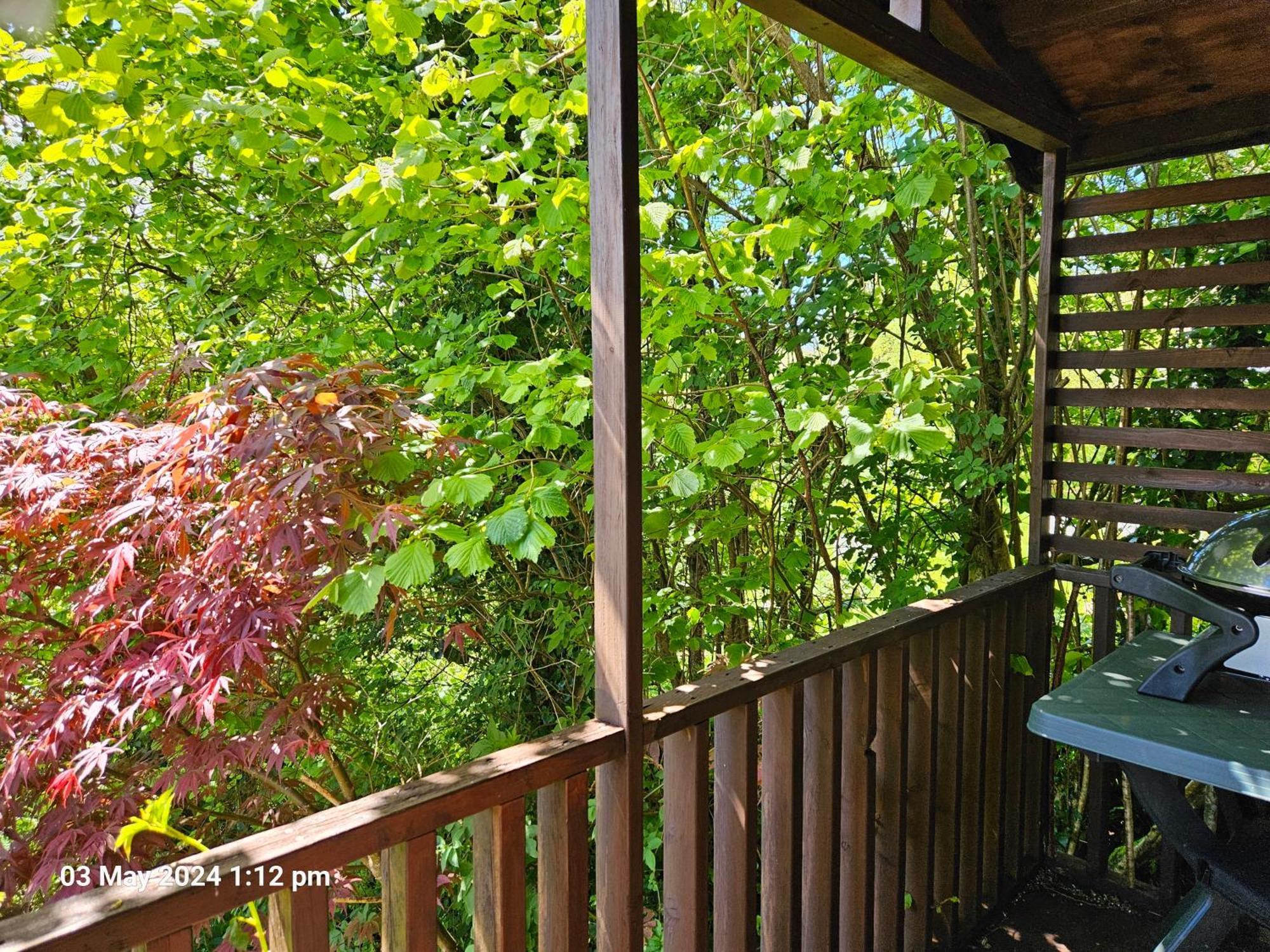 Treetops Lodge, Private Parking & Garden ทรูโร ภายนอก รูปภาพ