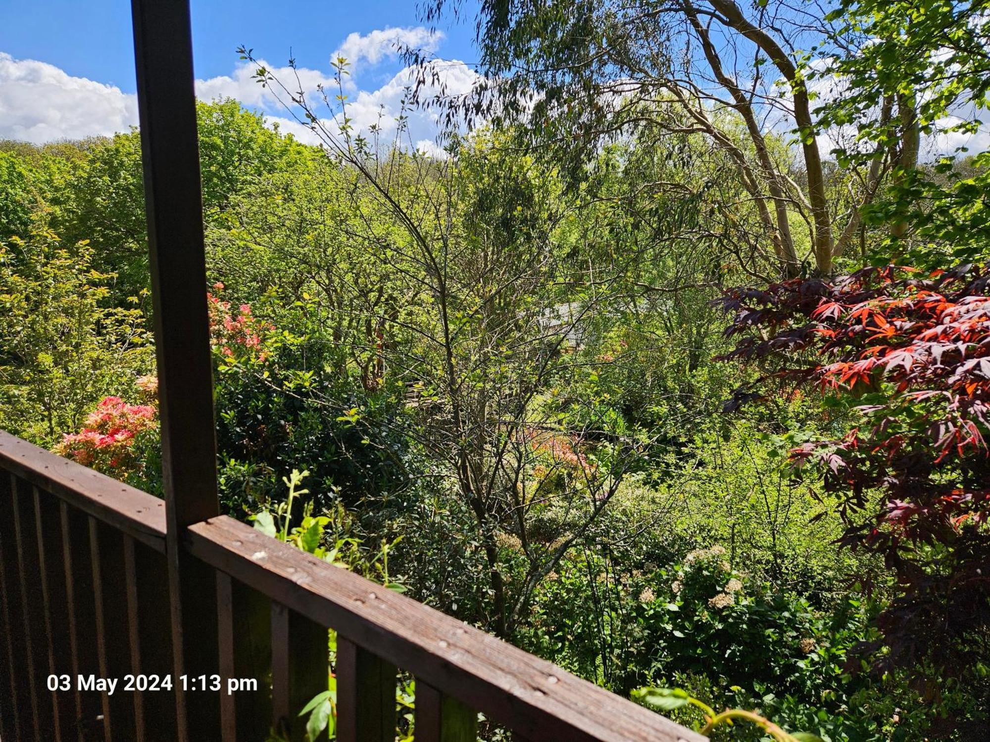 Treetops Lodge, Private Parking & Garden ทรูโร ภายนอก รูปภาพ